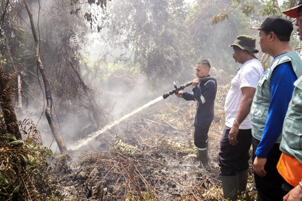 Kemarau El Nino, Lahan Terbakar di Pekanbaru Capai 38 Hektare Lebih
