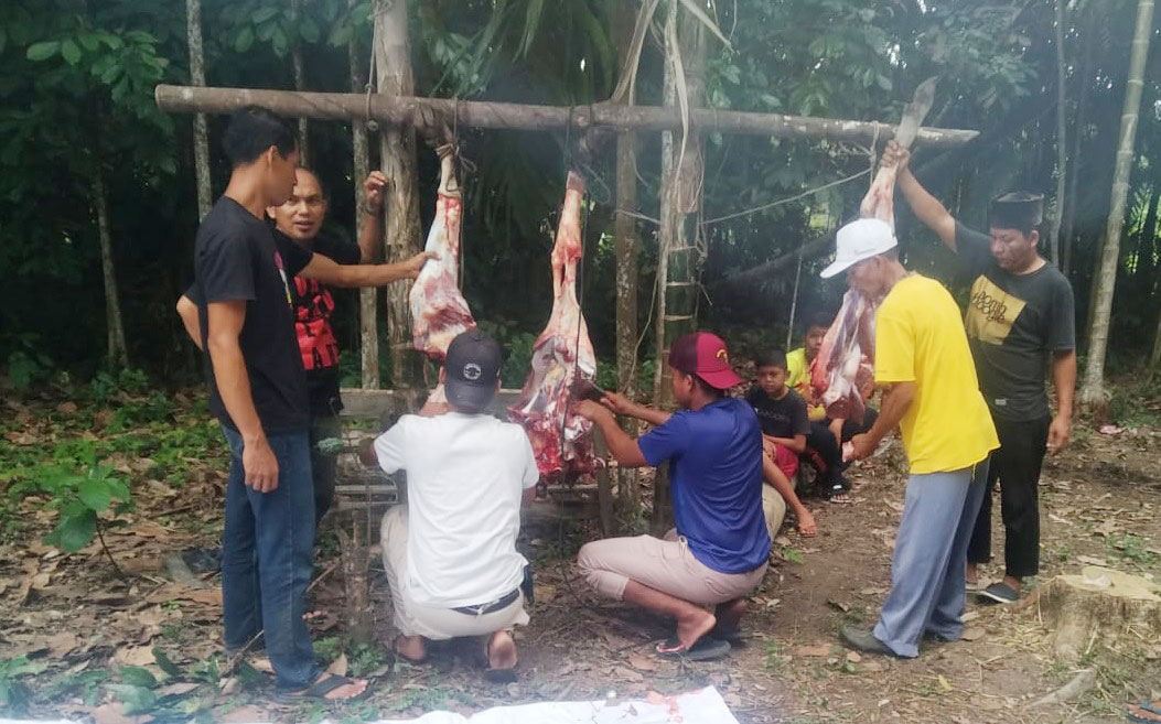 Rayakan Idul Adha, Diskominfotik Bengkalis Sembelih 2 Ekor Sapi