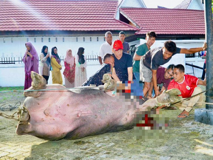 Sembelih Sendiri Hewan Qurbannya, Pj. Bupati Kampar ; Sebagai Bentuk Ketaatan Hamba Kepada Allah SWT.