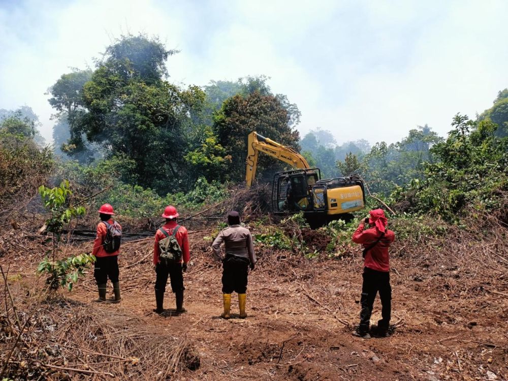 Selama Masa Libur Lebaran, Tidak Terjadi Kebakaran Hutan dan Lahan (Karhutla) di Riau